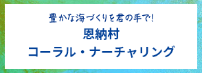 豊かな海づくりを君の手で！恩納村コーラル・ナーチャリング
