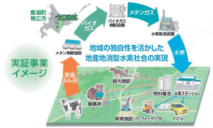 地球環境シリーズ バイオエネルギー再燃」 本