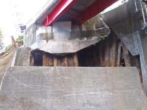 終点~ (奥漁橋)